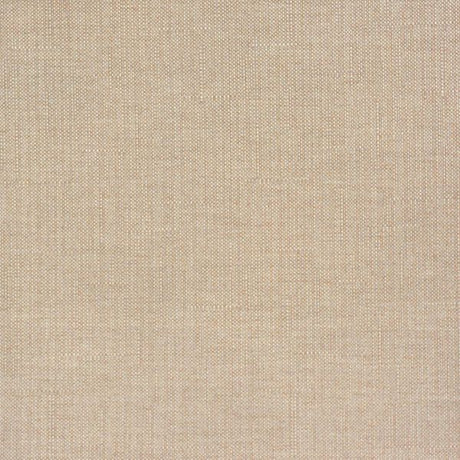 Sample of Silver State Sunbrella Buckley Quinoa Roman Holidays Collection Upholstery Fabric