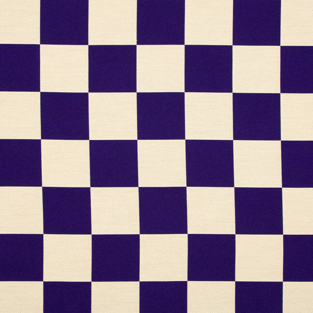 Robert Allen Sunbrella All In Check Passion Upholstery Fabric