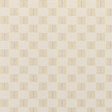 Sunbrella Mend Saffron 146921-0002 Fusion Collection Upholstery Fabric