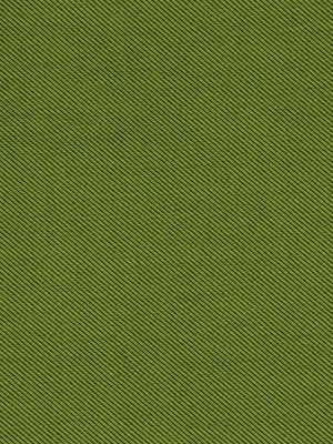 Robert Allen Sunbrella Contract St Tropez Keylime 222298 Upholstery Fabric