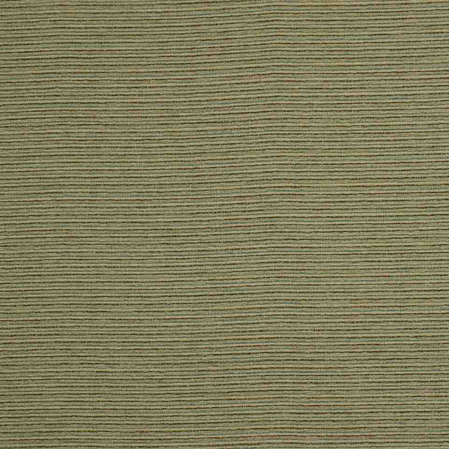 Robert Allen Sunbrella Line Count Pool Upholstery Fabric