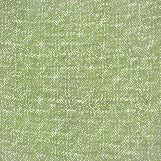 Sample of Sunbrella by Alaxi Copeland Aloe Atmospherics Collection Upholstery Fabric