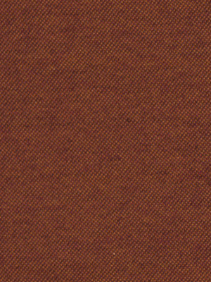 Robert Allen Sunbrella Plain Field Cognac Upholstery Fabric