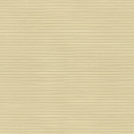 Kravet Sunbrella Beige 25763 - 16 Guaranteed in Stock Upholstery Fabric - Outdoor Fabric Central