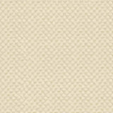 Kravet Sunbrella Beige 25807 - 1116 Guaranteed in Stock Upholstery Fabric - Outdoor Fabric Central