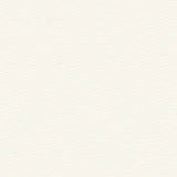 Kravet Sunbrella Soleil Canvas Natural 25703 - 1 Soleil Collection Upholstery Fabric - Outdoor Fabric Central