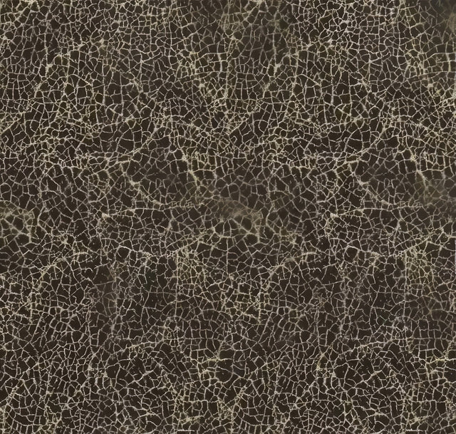 Lee Jofa Modern Sunbrella Breakwater Black GWF - 3419 - 8 by Kelly Wearstler Upholstery Fabric - Outdoor Fabric Central