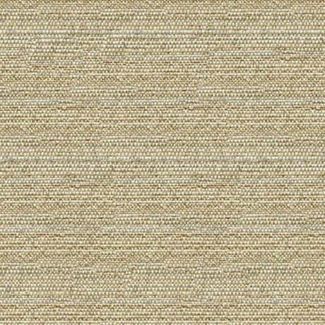Kravet Sunbrella 34274-1611 Upholstery Fabric