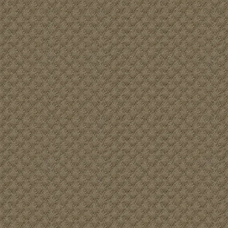Sample of Kravet Sunbrella Brown 25807 - 106 Guaranteed in Stock Upholstery Fabric - Outdoor Fabric Central