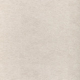 Kravet Sunbrella Combed Sand Goldfinch 37259-106 Landscape Collection by Barbara Barry Upholstery Fabric