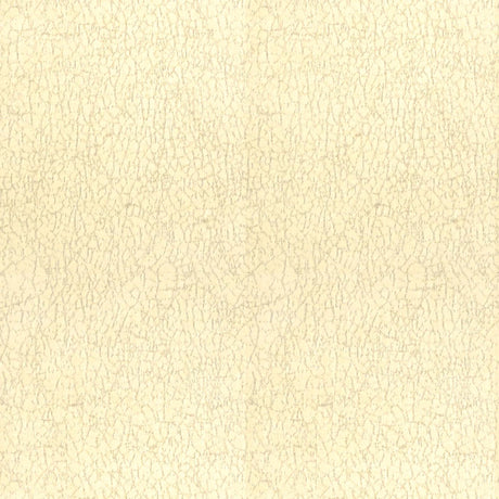 Lee Jofa Modern Sunbrella Breakwater Oyster GWF-3419-101 by Kelly Wearstler Upholstery Fabric