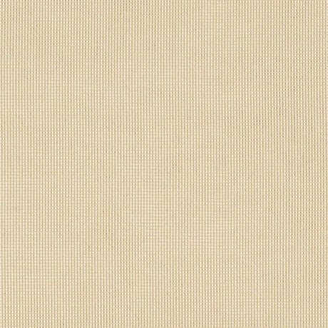 Sample of Outdoor Fabric Central 118 inch Antique Beige 0022 Outdoor Sheers Collection Drapery Fabric