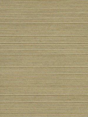 Robert Allen Sunbrella Marco Island Sand Upholstery Fabric