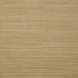 Sample of Sunbrella Augustine Golden 5928-0049 Sling Fabric