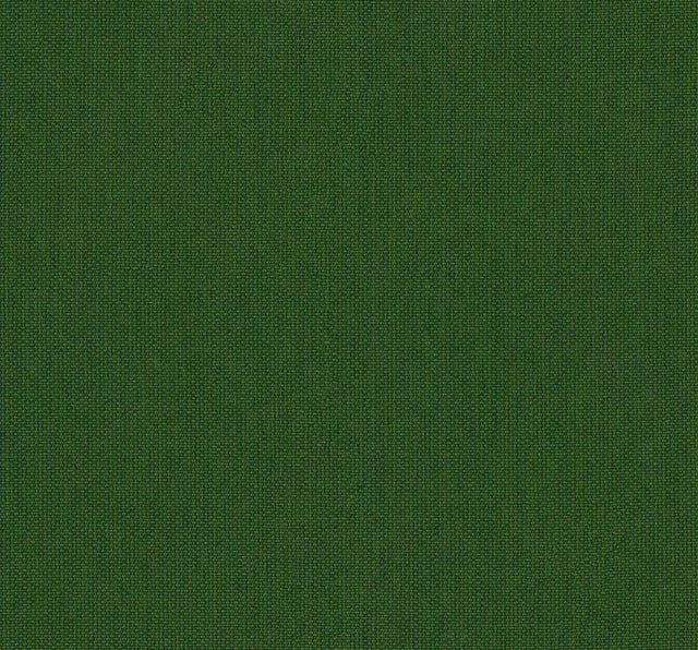 Sunbrella Canvas Calathea SJA 3999 137 European Collection Upholstery Fabric