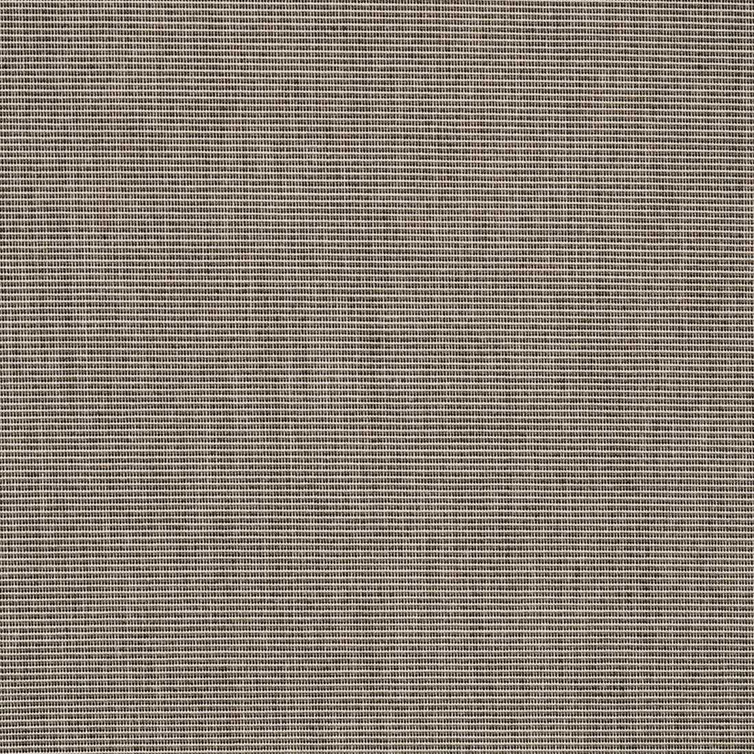 Sunbrella Canvas Flint 14090-0000 Perspectives Collection Upholstery Fabric
