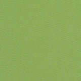 Sample of Sunbrella Canvas Ginkgo 54011-0000 Elements Collection Upholstery Fabric