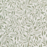 Sample of Sunbrella Exquisite Aloe 146272 - 0001 Fusion Collection Upholstery Fabric - Outdoor Fabric Central