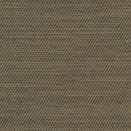Sample of Sunbrella Fiera Walnut 3050492 Sling Fabric