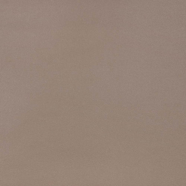 Sample of Sunbrella Horizon Capriccio Taupe 10200 - 0010 Marine Vinyl Elements Collection Upholstery Fabric - Outdoor Fabric Central
