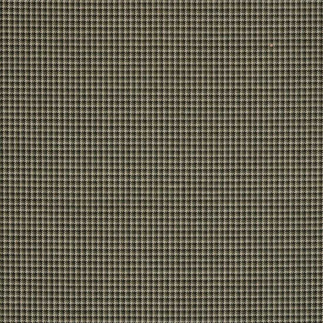 Sunbrella Lore Moss 48146-0003 Upholstery Fabric