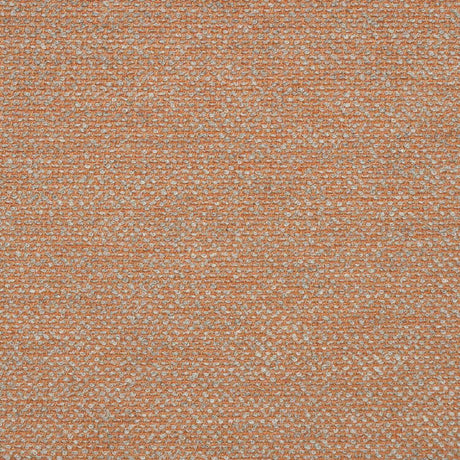 Sunbrella Nurture Clay 42102-0010 Balance Collection Upholstery Fabric