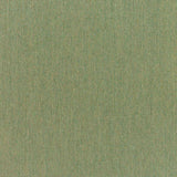 Sunbrella Canvas Fern 5487-0000 Elements Collection Upholstery Fabric