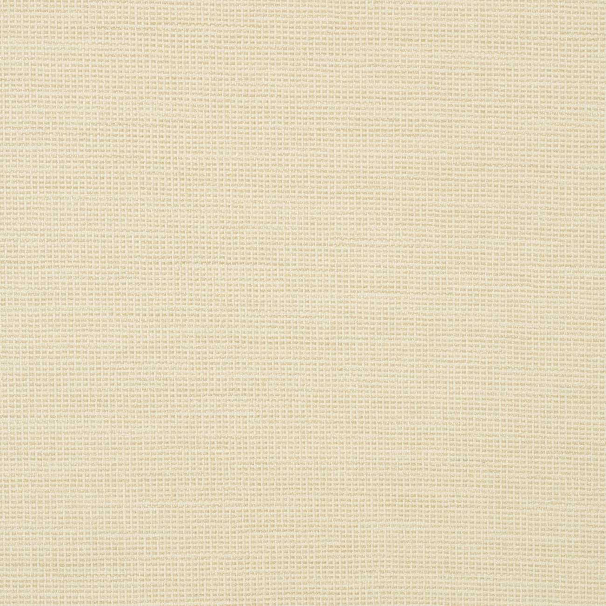 Sunbrella Rally Parchment 87005-0001 Transcend Collection Upholstery Fabric
