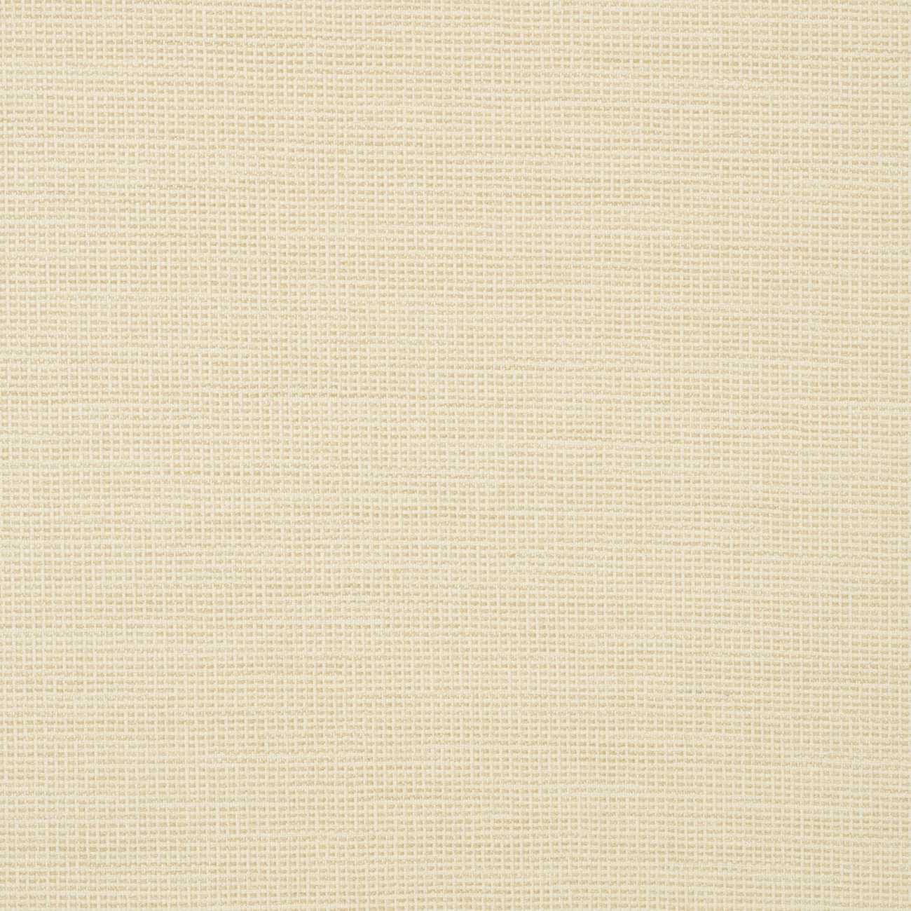 Sunbrella Rally Parchment 87005-0001 Transcend Collection Upholstery Fabric