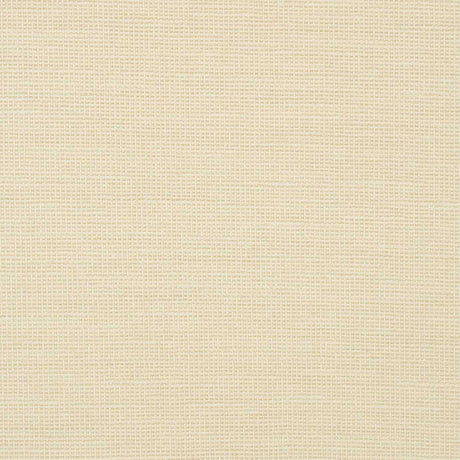 Sunbrella Rally Parchment 87005-0001 Transcend Collection Upholstery Fabric