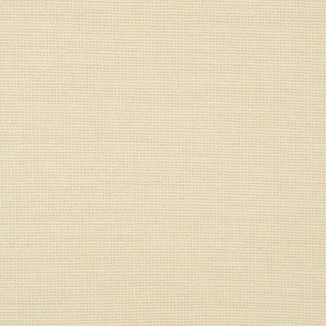 Sunbrella Rally Parchment 87005-0001 Transcend Collection Upholstery Fabric