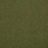 Sunbrella Ritsy Aloe 360007-0022 Interiors Foundation Collection Upholstery Fabric