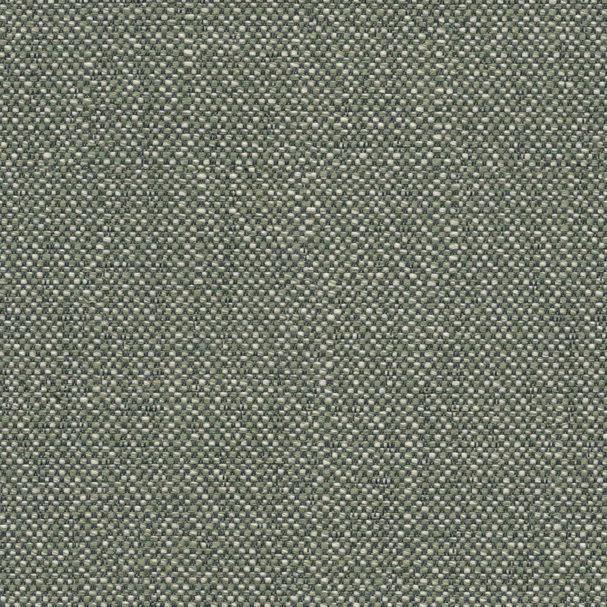Sample of Sunbrella Savane Swamp SAV3 J449 140 European Collection Upholstery Fabric