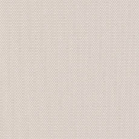 Sample of Sunbrella Shelter White 44530-0002 Upholstery Fabric