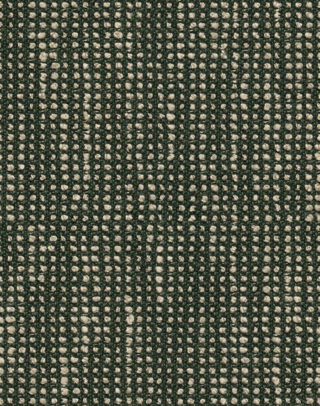 Sunbrella Slow Fern SLO 19106 140 European Collection Upholstery Fabric