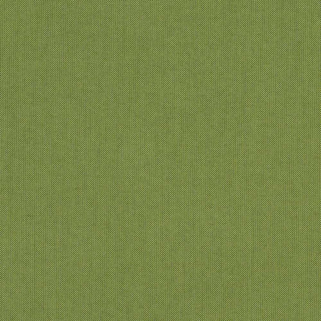 Sunbrella Spectrum Cilantro 48022-0000 Elements Collection Upholstery Fabric
