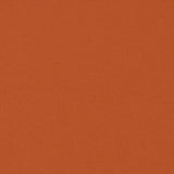 Sample of Sunbrella Terracotta 8757-0060 60 in. Exceed FR Awning Fabric