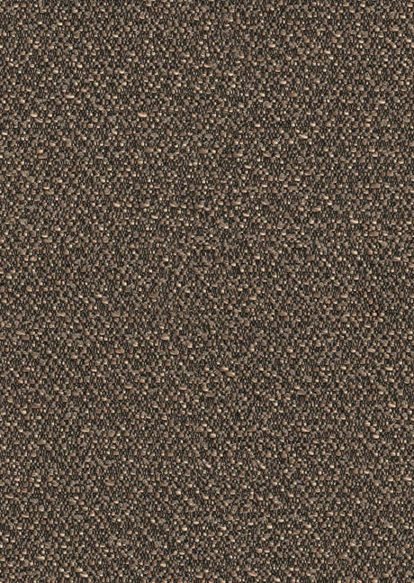 Sunbrella Wander Bison WAN J619 140 European Collection Upholstery Fabric