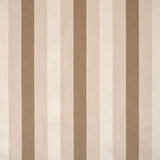 Silver State Sunbrella Chamberlain Raffia Savannah Collection Upholstery Fabric - Outdoor Fabric Central