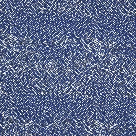 Silver State Sunbrella Jedi Raindrops Roman Holidays Collection Upholstery Fabric - Outdoor Fabric Central