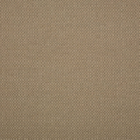 Sunbrella Action Taupe 44285 - 0003 Elements Collection Upholstery Fabric - Outdoor Fabric Central
