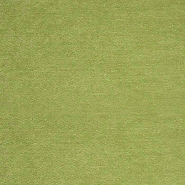 Sunbrella by Alaxi Bentley Kiwi Atmospherics Collection Upholstery Fabric - Outdoor Fabric Central