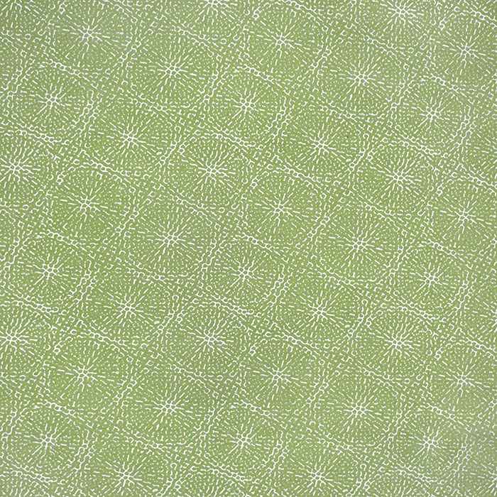 Sunbrella by Alaxi Copeland Aloe Atmospherics Collection Upholstery Fabric - Outdoor Fabric Central