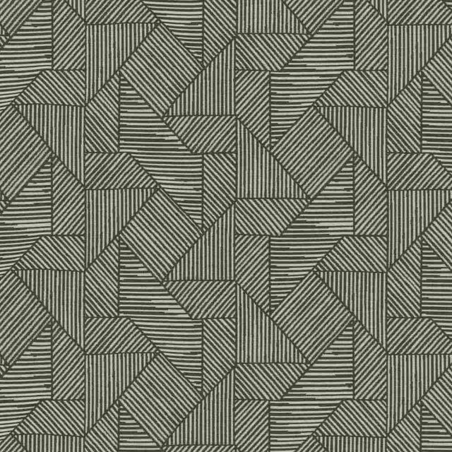Sunbrella by Mayer Acuco Zebra 445 - 006 Wonderlust Collection Upholstery Fabric - Outdoor Fabric Central