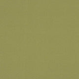 Sunbrella by Mayer Soleil Wasabi 416 - 013 Imagine Collection Upholstery Fabric - Outdoor Fabric Central