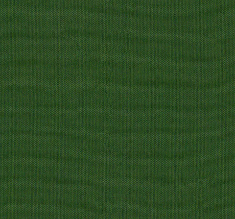 Sunbrella Canvas Calathea SJA 3999 137 European Collection Upholstery Fabric