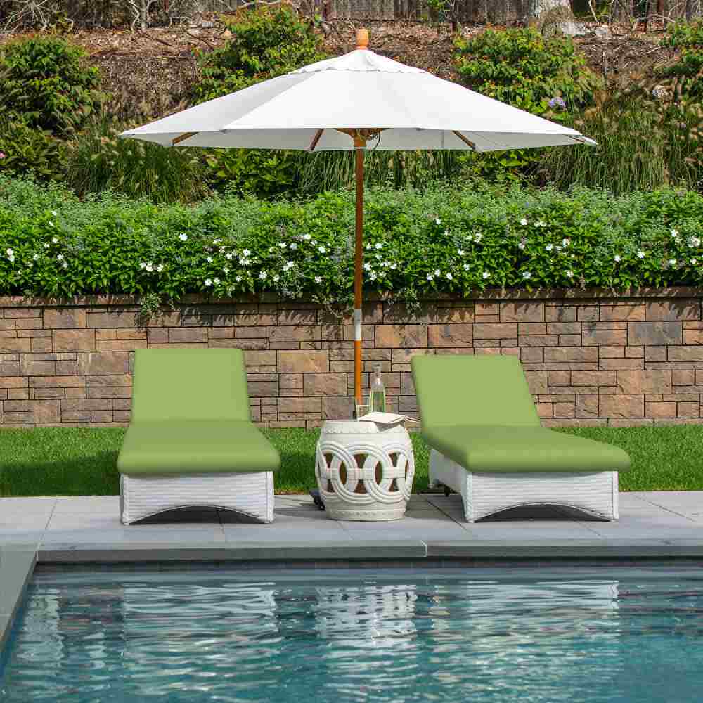 Sunbrella Canvas Ginkgo 54011-0000 Elements Collection Upholstery Fabric