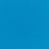 Sunbrella Canvas Pacific Blue 5401-0000 Elements Collection Upholstery Fabric