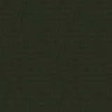 Sunbrella Cliff Fir CLI B131 140 European Collection Upholstery Fabric