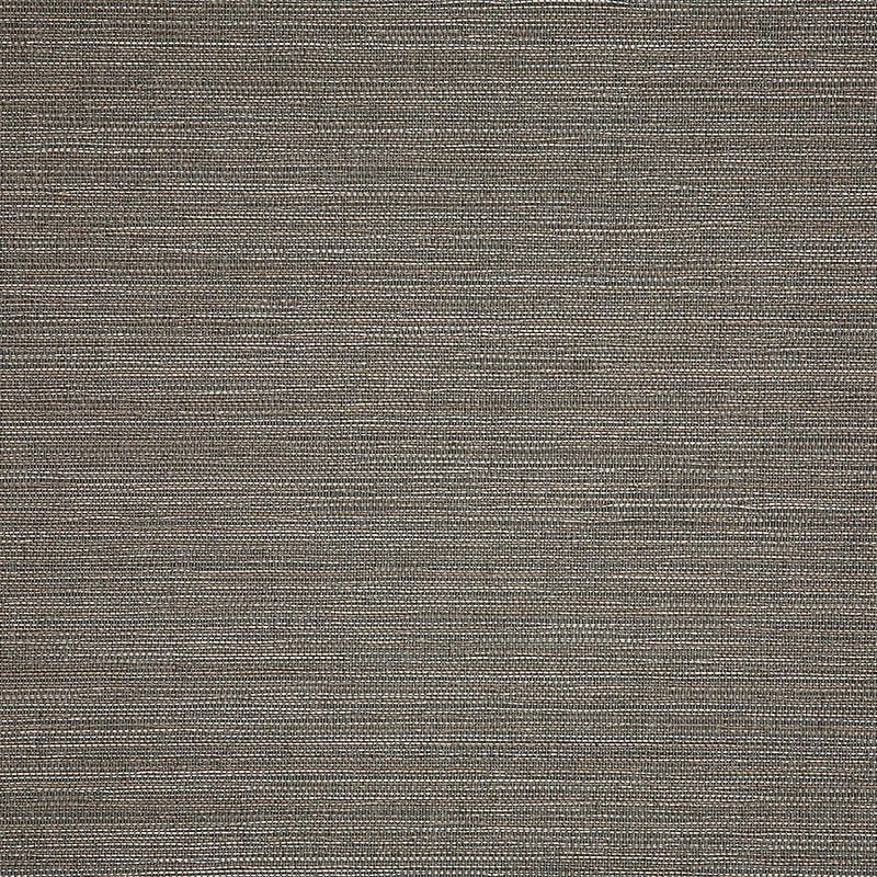 Sunbrella Collect Charcoal 3050505 Sling Fabric